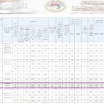 جامعة المعارف ضمن أفضل عشر جامعات وكليات أهلية في العراق في النشر العلمي على منصة Scopus